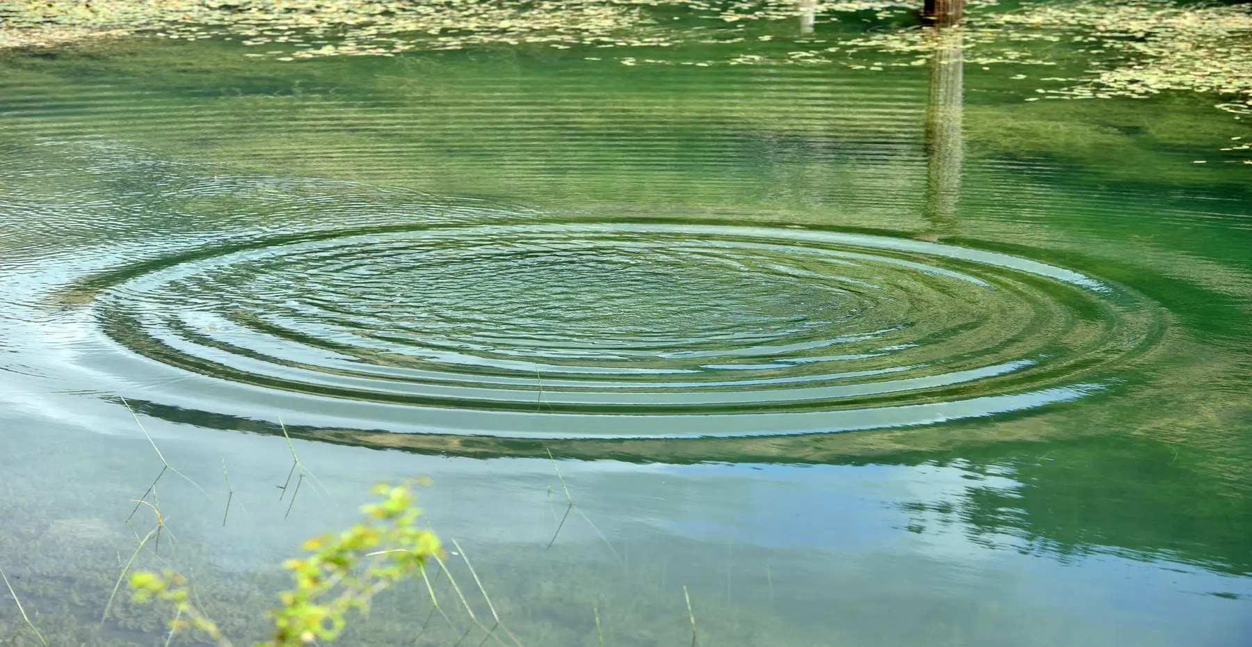 De watervriendelijke tuin blijft ook in het nieuwe jaar een belangrijk thema. Hoe integreren wij een goede waterhuishouding in onze tuinontwerpen?