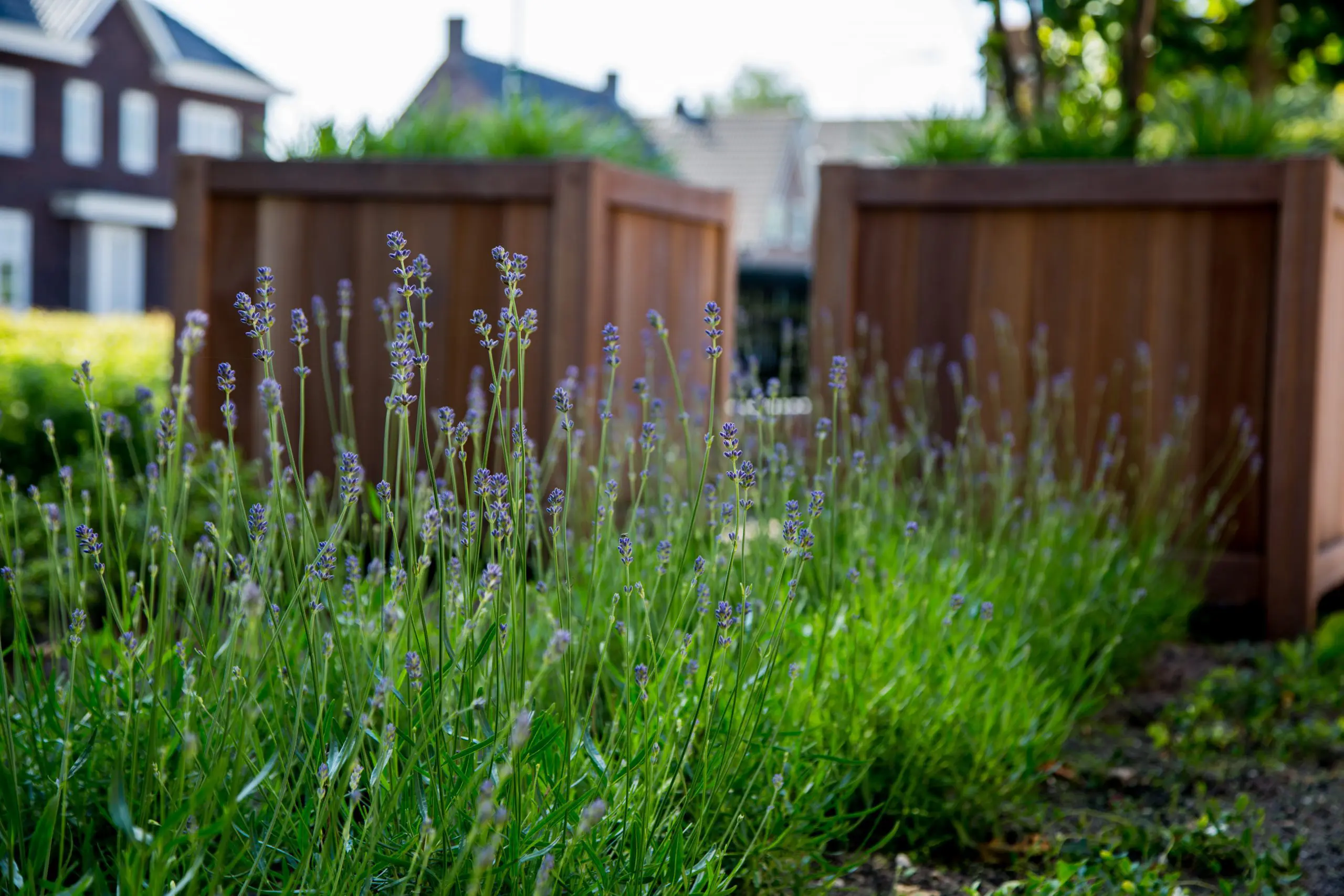 5 tuintrends voor lente 2018 samengesteld door Arjan Brok tuin- en zwembadinrichting
