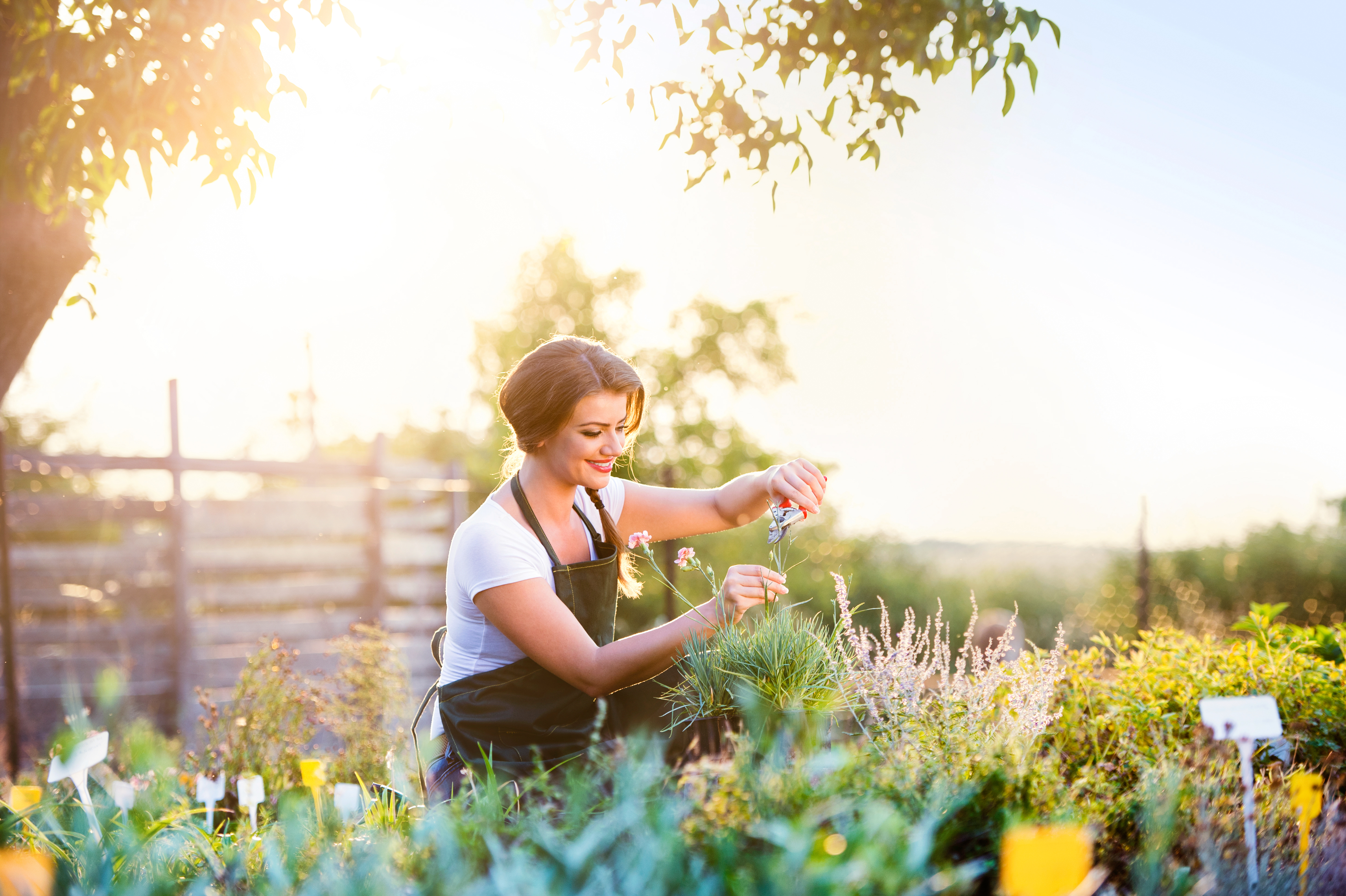 maak je tuin lenteklaar met deze 4 voorjaarstips
