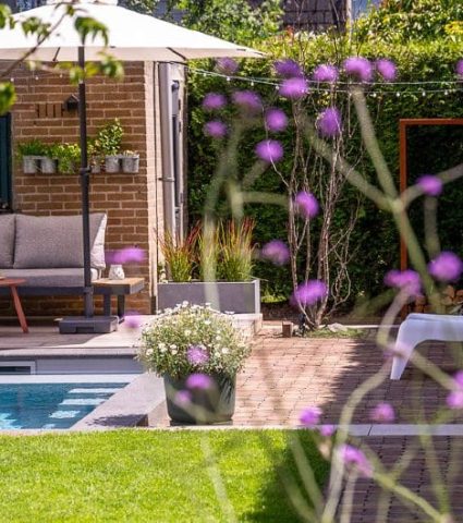 Afspraak maken Combinatie van tuin en zwembad